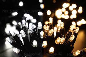 Neo Neon Holdings Ltd