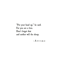 Lion Atticuspoetry Atticus Poetry Poem Lion Loveherwild Life Lesson Quotes Quotes Deep Inspirational Quotes