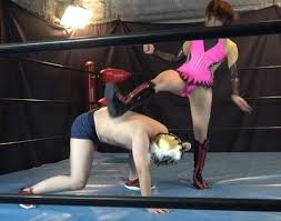 プロレス 女子プロレス ボクシング キックボクシング 柔道 相撲 格闘技選手権消しゴム 玩具 未開封 www.cabc.com.mx