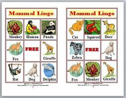 Mammals Lingo Game Animal Classification Mammals Animal Games