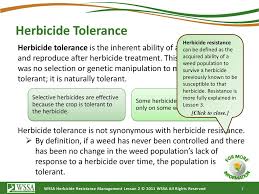 Soil applied herbicides are applied and incorporated into the soil before planting (called preplant incorporated or ppi) or applied after planting and before crop emerges from the soil (called preemergence). How Herbicides Work Lesson 2 Ppt Download