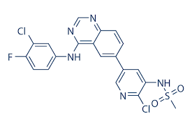 Maybe you would like to learn more about one of these? Mtx 211 99 Hplc Selleck Egfr Inhibitor