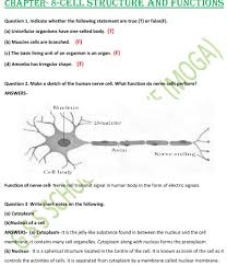We did not find results for: Cell Structure And Functions Class 8