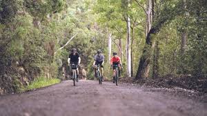 Great coffee, food and the little things you forgot. Video Colo River Loop Grove Bike Co