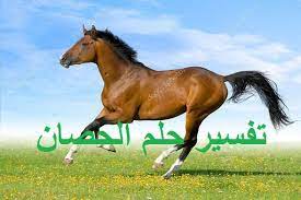 لو كانت العزباء مسجونة في المنام وقد حكمت المحكمة ببراءتها، فهذه الرؤية تؤكد أنها ستبدأ حياة جديدة مليئة بالانتصارات. ØªÙØ³ÙŠØ± Ø­Ù„Ù… Ø§Ù„Ø­ØµØ§Ù† ÙˆØ¯Ù„Ø§Ù„ØªÙ‡ ÙÙŠ Ø§Ù„Ù…Ù†Ø§Ù… Ù„Ø§Ø¨Ù† Ø³ÙŠØ±ÙŠÙ† ØªÙØ³ÙŠØ± Ø§Ù„Ø§Ø­Ù„Ø§Ù… Ø§Ø¨Ù† Ø³ÙŠØ±ÙŠÙ†