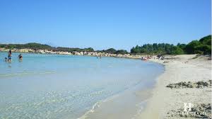 We did not find results for: Oi Pente Kalyteres Paralies Sthn Xalkidikh Halkidikitravel Com