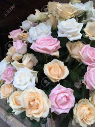 Romantic get well soon flowers images. Romantic Rose Bouquet In Vase With Fresh Feeling Pastel Flower With Aroma Nice For Greeting Card Anniversary Love Get Well Soon Stock Photo Picture And Royalty Free Image Image 34771862
