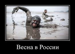 В Украину пустили российский телеканал "Дождь" - Цензор.НЕТ 4543