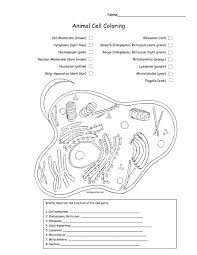 Cell Membrane Coloring Worksheet Beautiful Photosynthesis Coloring Pages Worksheets On In 2020 Cells Worksheet Cell Membrane Coloring Worksheet Plant Cells Worksheet