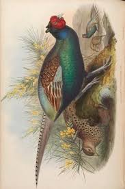 In both of those labels the category of hazard is represented by a color and the level of the hazard is represented by a number. 750 Zoology Ideas Zoology Scientific Illustration Natural History