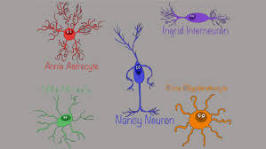 Image result for brain cell