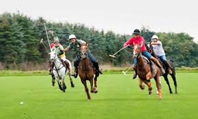 Is the only polo brand officially sanctioned by the united states polo association. Polo Nobel Hart Und Schmutzig Randsportarten Faz