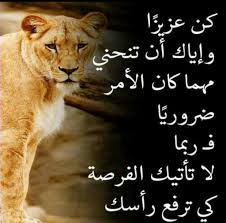 Dambero شعر عن الرجولة والشهامة