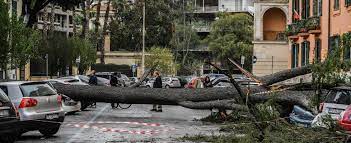Circonvallazione clodia, 90, 00195 roma rm telefono: Maltempo A Roma Per Il Vento Alberi Caduti In Tutta La Citta Scuole Chiuse Per Il Secondo Giorno Consecutivo Protezione Civile Limitare Spostamenti La Repubblica