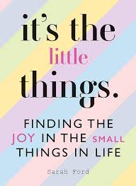 Maybe you would like to learn more about one of these? It S The Little Things Finding The Joy In The Small Things In Life Ford Sarah Amazon De Bucher