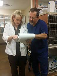 Photos, address, and phone number, opening hours, photos, and user reviews on yandex.maps. Urgent Pet Care Millard Omaha Dog