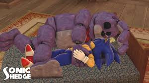 Sonic and his Rabbit Friend TWO - 2020 by JadenTH_StoneHedge -- Fur  Affinity [dot] net