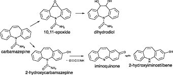 The 2 Hydroxyiminostilbene Metabolite Of Carbamazepine Or The Supernatant From Incubation Of Hepatocytes With Carbamazepine Activates Inflammasomes Implications For Carbamazepine Induced Hypersensitivity Reactions Drug Metabolism Disposition