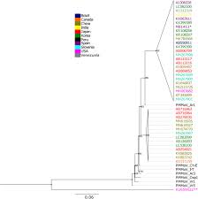 78 articles disponibles, 20 affich�s sur cette page. Pepper Mild Mottle Virus Isolates From Peru Induce Severe Symptoms In Susceptible Pepper Plants And Belong To The P 1 2 Pathotype Springerlink