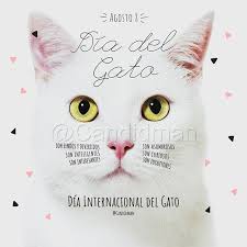 Ver más ideas sobre día internacional del gato, internacional, gatos. I Pinimg Com 736x 7f 69 14 7f6914eb1fe6ce0994f5