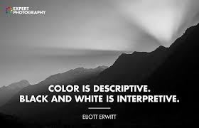 Aesthetic Soul Black And White Photography Quotes 12 Best Black And White Quotes Photography Inspiration Quotes White Black And White Quotes Inspirational Quotes About Photography