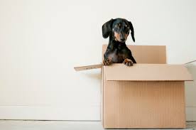 Il y a plusieurs mesures que vous pouvez prendre afin de gérer le départ d'un ami. Demenagement 9 Choses A Faire Quand On Change De Logement