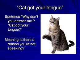 If someone asks if the cat has got your tongue, they want to know why you are not speaking when they think you should. Idioms Used In The United States Created By Deanna Mr Harris Lal Class Ppt Download