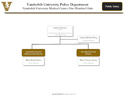 Organizational Chart Details About Police Department