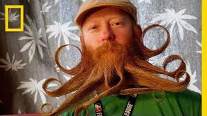 Austin: Weird, Wacky, and Worth Photographing