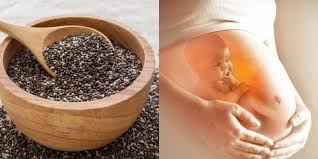 Biji fenugreek bisa dikonsumsi selama ibu hamil sudah mencapai usia kandungan 7 sampai 9 bulan. Kelebihan Chia Seed Untuk Ibu Hamil Ia Mengawal Gula Dalam Darah