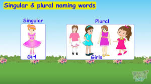 Please refer to the final 7 pages of the file for links and instructions.this singular and plural. Singular And Plural Naming Words English Grade 2 Tutway Youtube