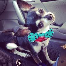 Marbles being cute for 12 minutes straight. Jenna Marbles 14 Facts You Didn T Know About The Queen Of Youtube