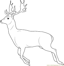 Help your kids celebrate by printing these free coloring pages, which they can give to siblings, classmates, family members, and other important people in their lives. Running Deer Coloring Page For Kids Free Deer Printable Coloring Pages Online For Kids Coloringpages101 Com Coloring Pages For Kids
