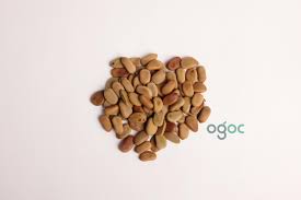 Image result for Caesalpinia sappan