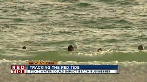 A helicopter flight provided by the pinellas county sheriff's office. Southwest Florida Tourists Head To St Pete And Clearwater Beaches Despite Red Tide