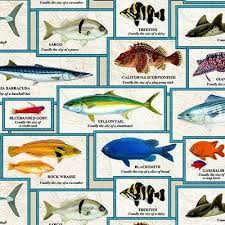 Catalina Island Chart Of Fish With Names Fishing Cream Cotton Fabric