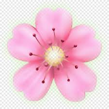 A heart shown on fire, for extreme or passionate forms of love or lust. Emoji Flower Png Images Pngegg
