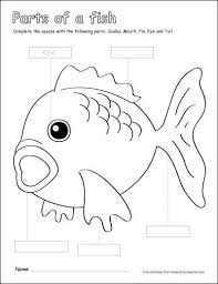 Preschoolers should be active for two hours or more each day. Parts Of A Fish Preschool Colouring Activity Http Cleverlearner Com Color The Parts Parts Of Preschool Color Activities Preschool Worksheets Fish Activities