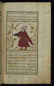Fol 207a A Tree Called Tanuth And A Mulberry Tree Tut Arkeoloji Isaretler