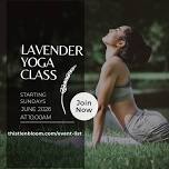 Yoga in the lavender fields