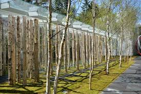 Kengo Kuma Combines Tree Trunks And Glass For The Birch Moss Chapel In Japan En 2020 Troncs D Arbres Savon Naturel Savon