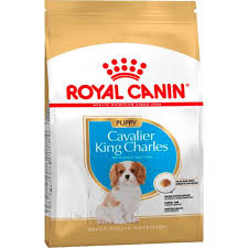 Royal Canin Junior King Charles Yavru Kopek Mamasi 1 5 Kg 3182550813051 Amazon Pet Center