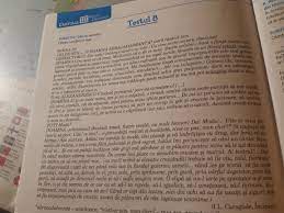 Formulare a datelor unei probleme, a unei judecăți; PrecizeazÄ Intr Un Enunt Care Este SlÄbiciunea Doamnei Brainly Ro