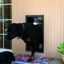 However, although we offer the latest in technology. Doggy Door Pictures Kitty Pictures Solo Pet Doors