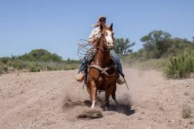 cowgal media • kasey best (@cowgal.media) • Instagram photos and videos