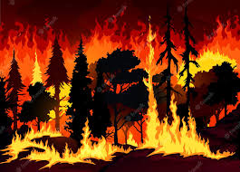 Forest Fire Illustration - Wildfire Impact and Awareness Visual ...