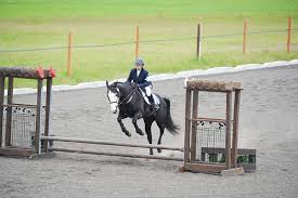 May 29, 2021 · le confinement a relancé la tendance : Horse And Rider 2 Make A Century The Good Life
