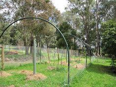 We did not find results for: 15 Fruit Tree Cover Ideas Bird Netting Fruit Trees Fruit Cage