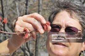 Connie Schweitzer's Instagram, Twitter & Facebook