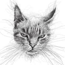 Pin By Naomi Koga On Graphic Design Illustrations Scribble Art Art Animal Drawings